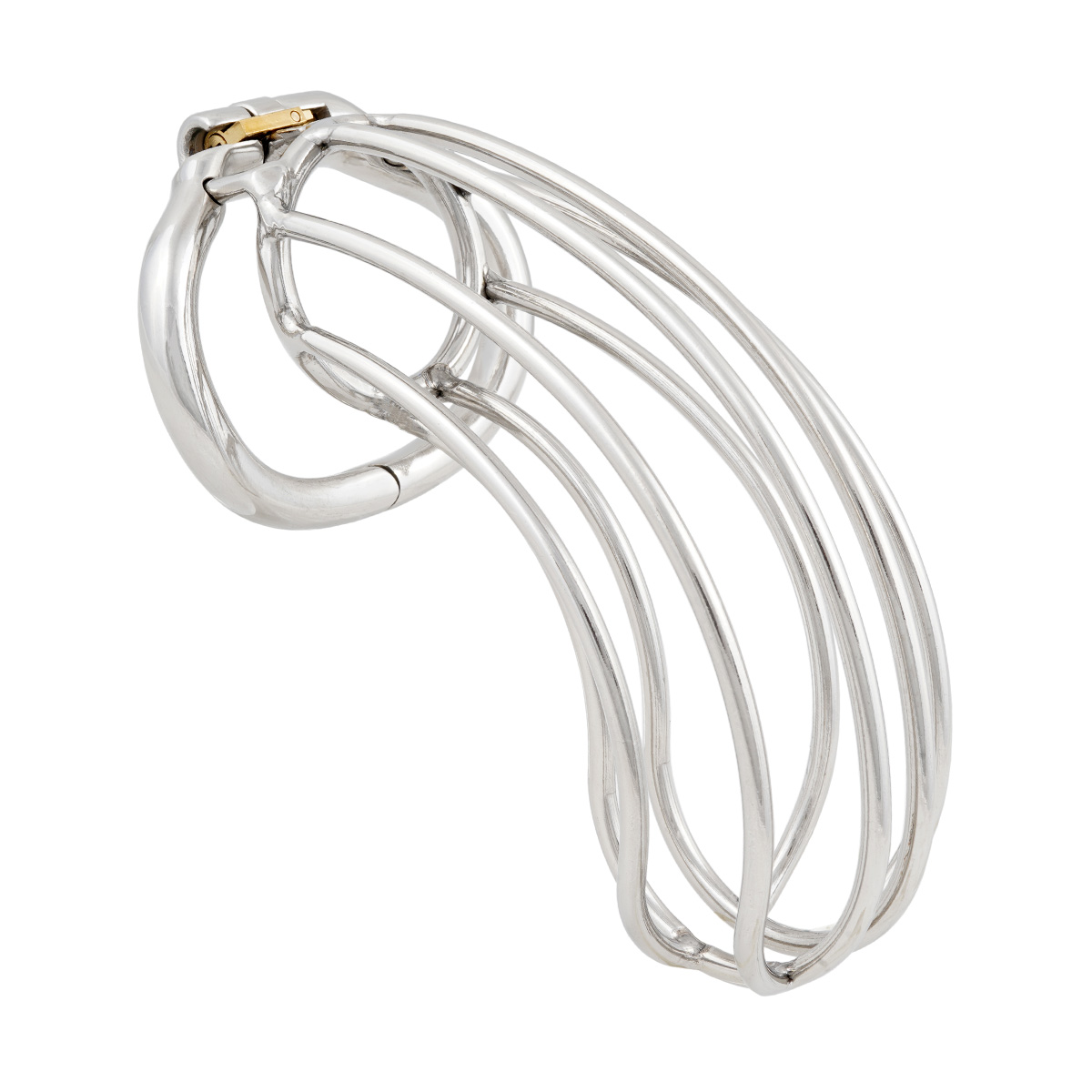 TERNENCE Chastity Device Male Cage Inside Length 5’’ Stainless Steel Long Section Men Chastity Lock