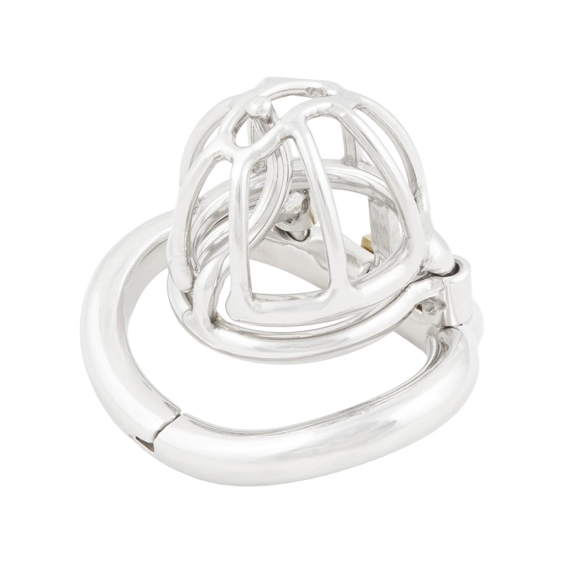 Male Chastity Device with Removable PA Puncture Hinged Ring Small Cock Cage Sex Toy