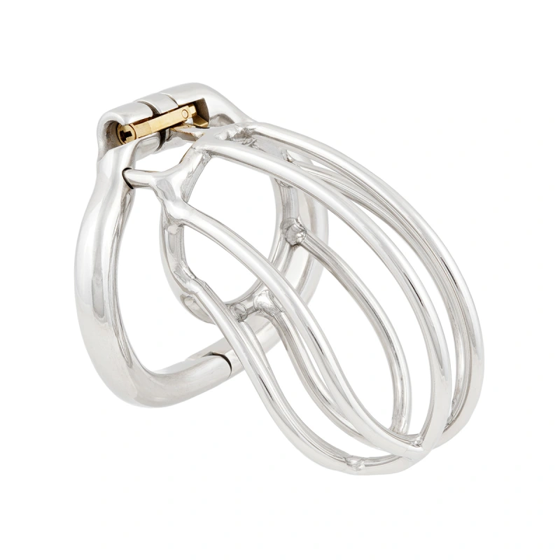 TERNENCE Male Chastity Device Ergonomic Design Stainless Steel Hinged Ring Male Cock Cage Adult Game Sex Toy