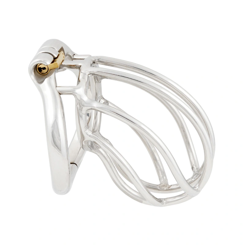TERNENCE Male Chastity Device Ergonomic Design Stainless Steel Hinged Ring Male Cock Cage Adult Game Sex Toy