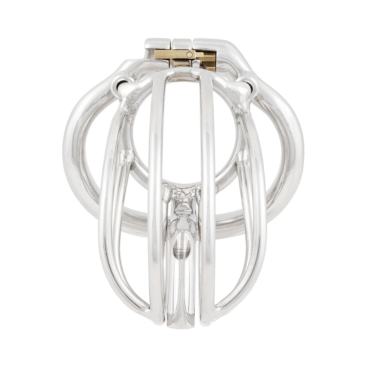 TERNENCE Male Chastity Device Cage with Removable PA Puncture Catheters Chastity Belt Cock Cage (only cages do not include rings and locks)