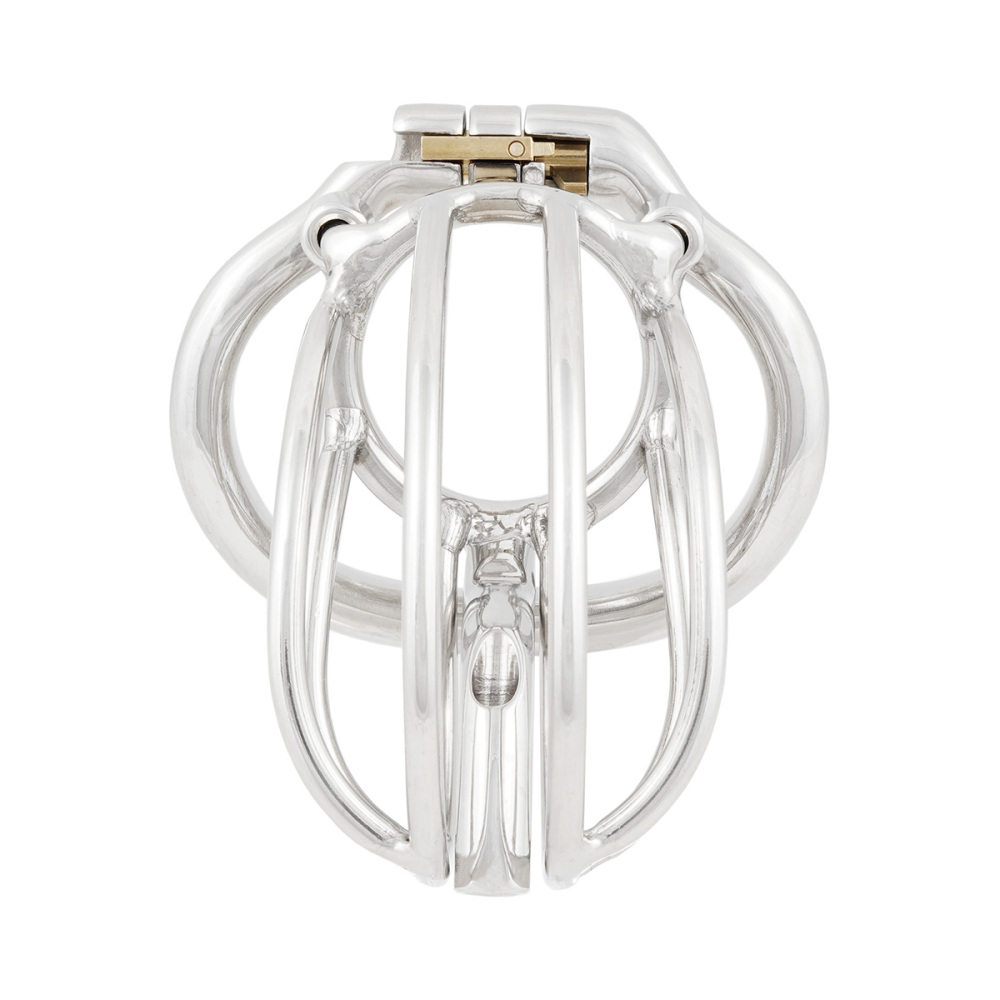 TERNENCE Male Chastity Device Cage with Removable PA Puncture Catheters Chastity Belt Cock Cage (only cages do not include rings and locks)