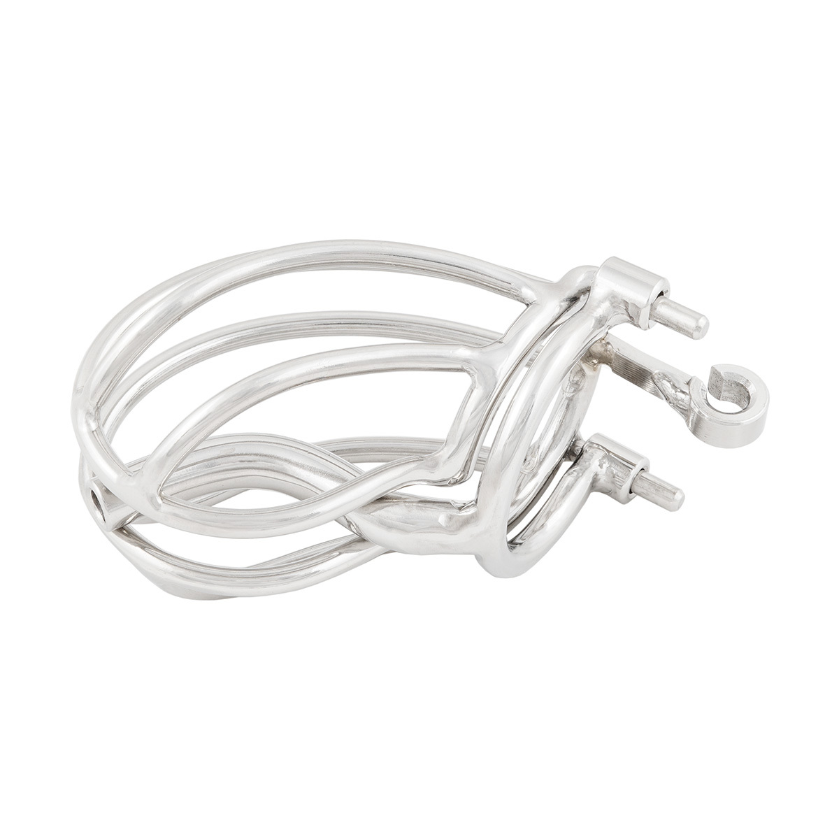 TERNENCE Male Chastity Device Cage with Removable PA Puncture Catheters Chastity Belt Cock Cage (only cages do not include rings and locks)