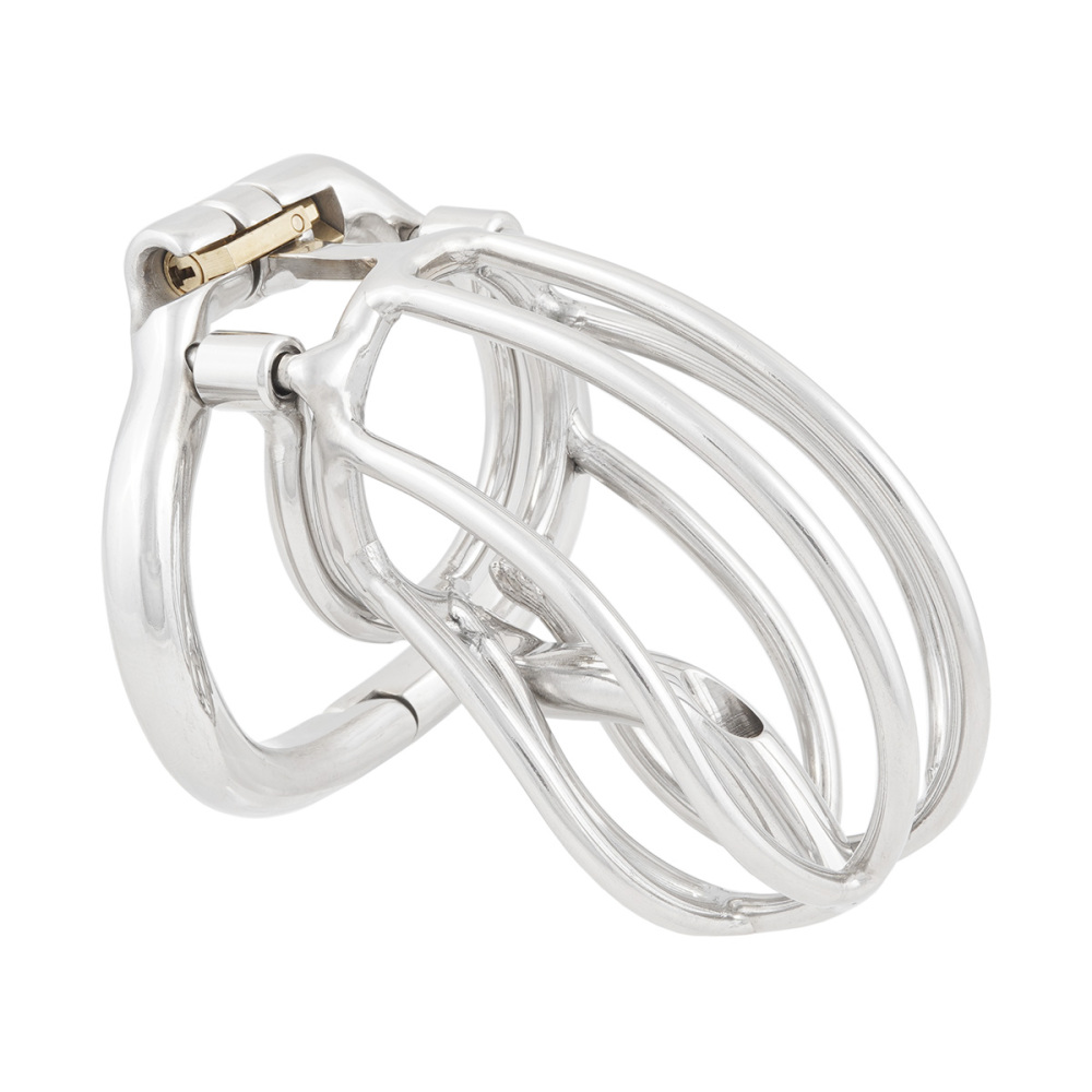 TERNENCE Male Chastity Device Cage with Removable PA Puncture Catheters Chastity Belt Cock Cage