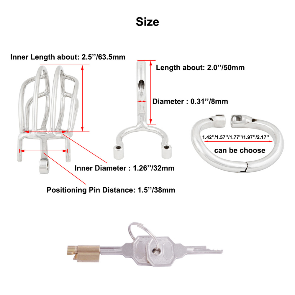 TERNENCE Male Chastity Device Cage with Removable PA Puncture Catheters Chastity Belt Cock Cage