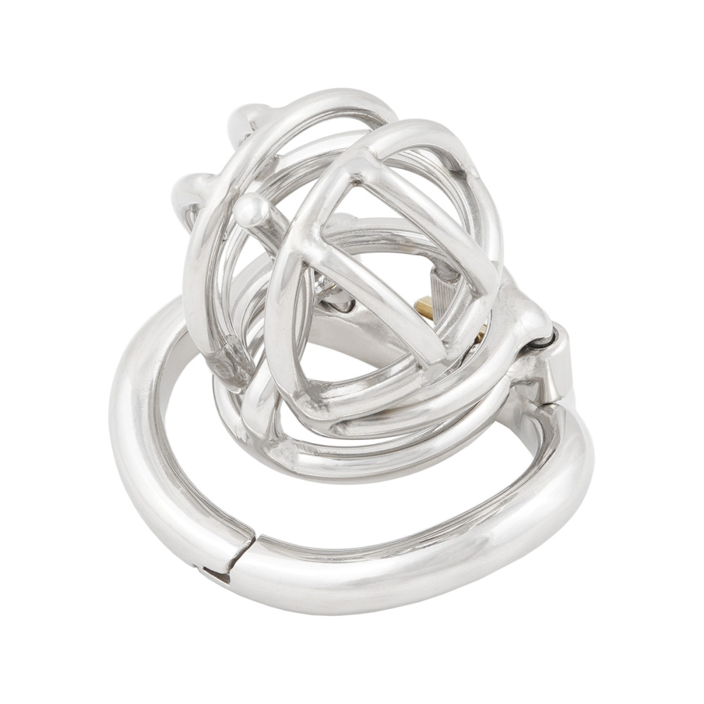 TERNENCE Male Chastity Device Cock Cage with Anti-Off Removable PA Puncture Hinged Ring Chastity Belt (only cages do not include rings and locks)