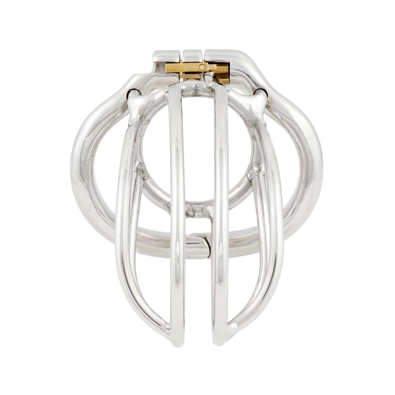 TERNENCE Male Chastity Device Ergonomic Design Stainless Steel Hinged Ring Male Cock Cage (only cages do not include rings and locks)