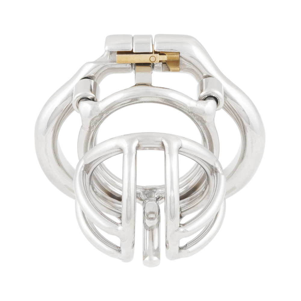 TERNENCE Male Chastity Device Cock Cage with Anti-Off Removable PA Puncture Hinged Ring Chastity Belt (only cages do not include rings and locks)