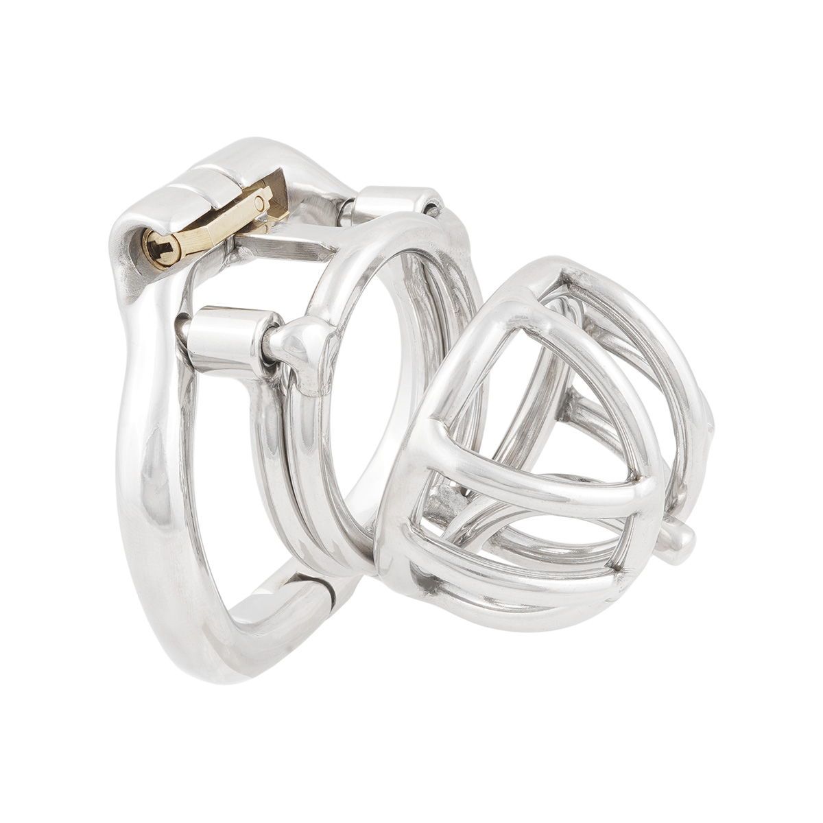 TERNENCE Male Chastity Device Cock Cage with Anti-Off Removable PA Puncture Hinged Ring Chastity Belt Adult Game Sex Toy