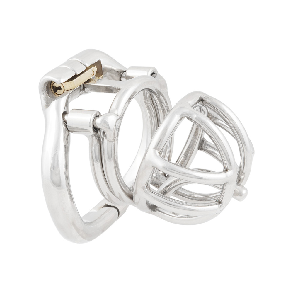 TERNENCE Male Chastity Device Cock Cage with Anti-Off Removable PA Puncture Hinged Ring Chastity Belt Adult Game Sex Toy