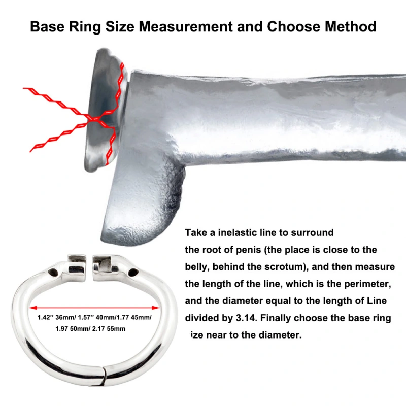 TERNENCE Male Chastity Device Ergonomic Design Stainless Steel Hinged Ring Male Cock Cage Adult Game Sex Toy