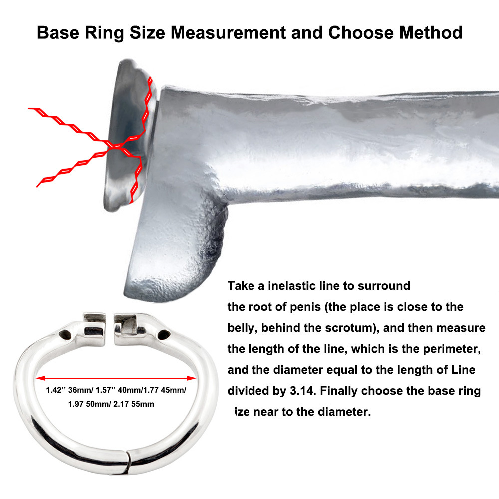 TERNENCE Male Chastity Device Ergonomic Design Stainless Steel Hinged Ring Male Cock Cage Adult Game Sex Toy