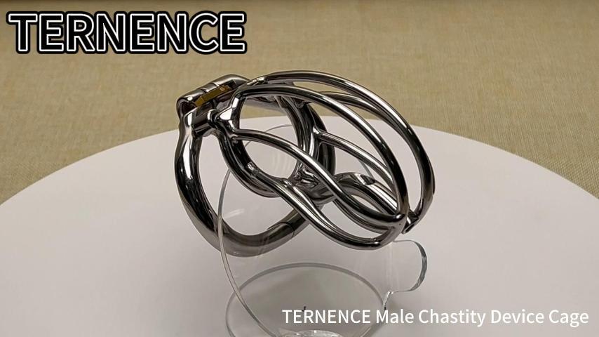 TERNENCE Male Chastity Device Cage with Removable PA Puncture Catheters Chastity Belt Cock Cage