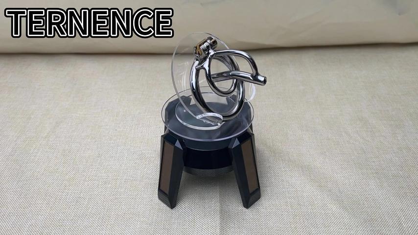 TERNENCE Male Chastity Cage Device Belt Stainless Steel Urethral Tube SM Penis Exercise Sex Toys