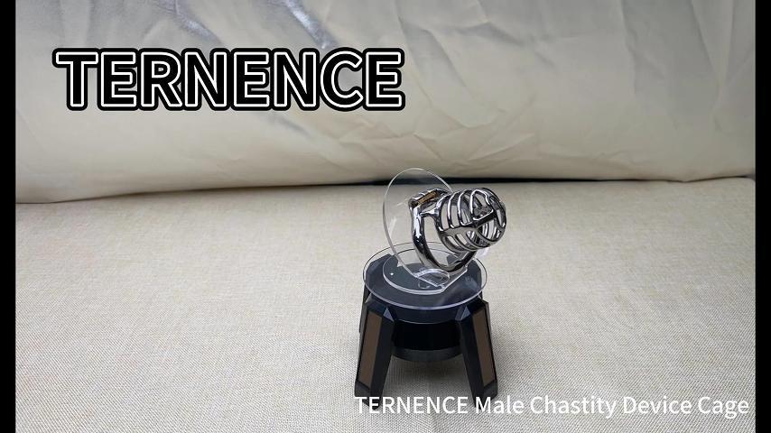 TERNENCE Medium Size Metal Male Chastity Device Ergonomic Design Hinged Ring Cock Cage Penis Lock Adult Game Sex Toys