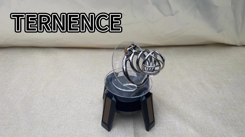 TERNENCE Stainless Steel Small Male Chastity Device Ergonomic Design Stealth Lock for Adults Solitary Extreme Confinement Cage