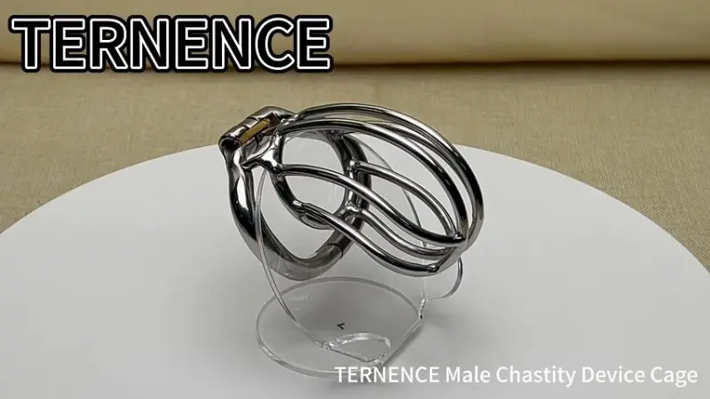 TERNENCE Male Chastity Device Ergonomic Design Stainless Steel Hinged Ring Male Cock Cage Adult Game Sex Toy