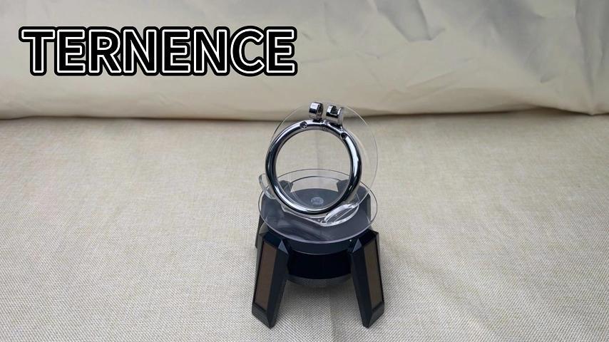 TERNENCE Stainless Chastity Device Ergonomic Design Cock Cage Base Ring Male Spares