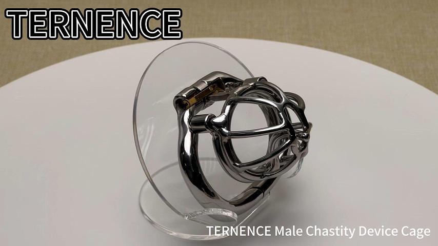 TERNENCE Male Chastity Device with Removable PA Puncture Hinged Ring Small Cock Cage Sex Toy