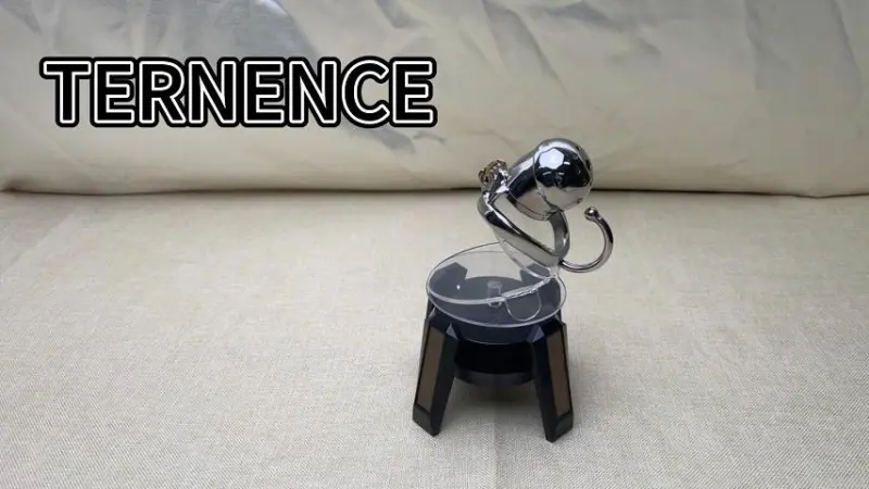 TERNENCE Male Chastity Cage Stealth Lock for Adults Solitary Extreme Confinement Cage