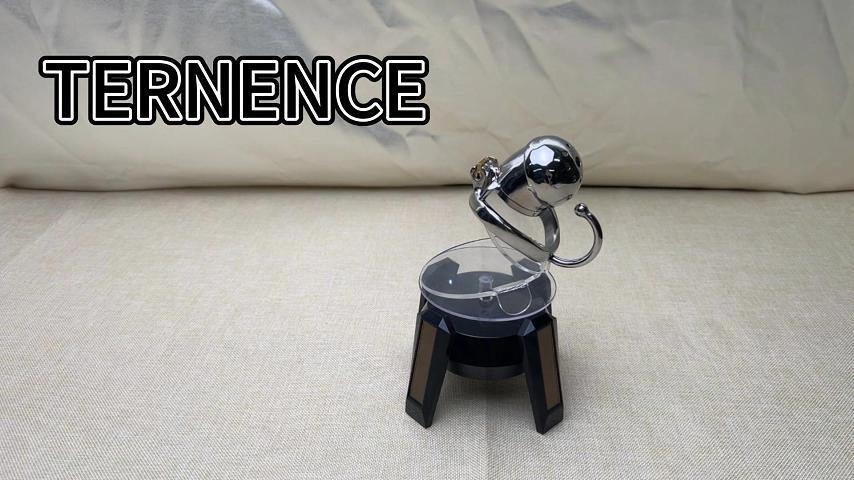 TERNENCE Male Chastity Cage Stealth Lock for Adults Solitary Extreme Confinement Cage