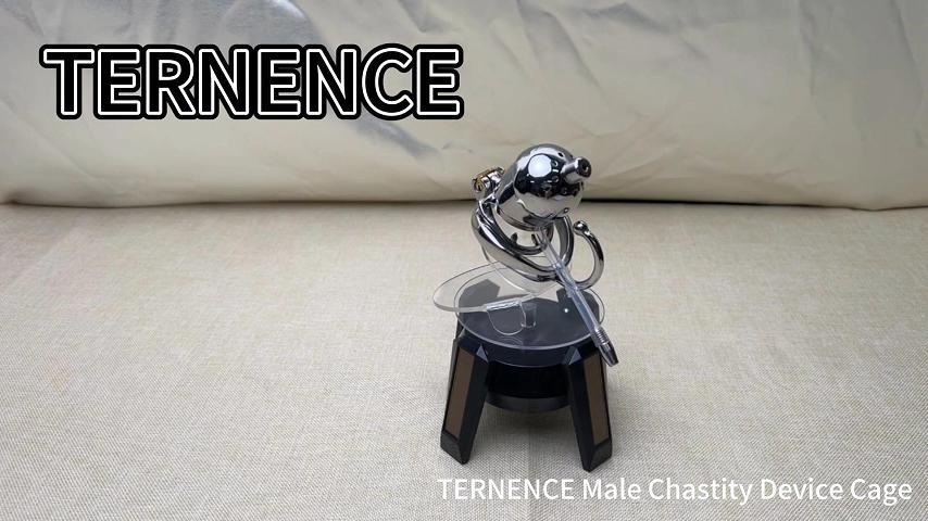 TERNENCE Male Chastity Cage Device Restraint Men Bondage Fetish with Catheter and Anti-Off Ring