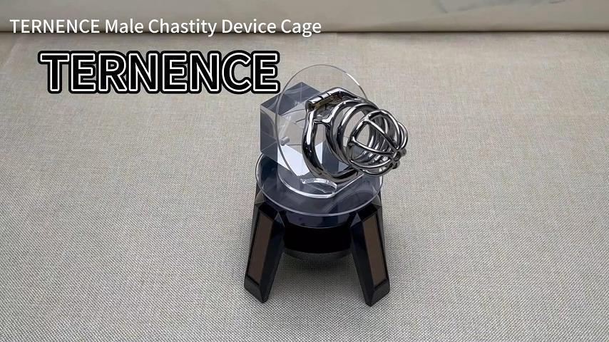 TERNENCE Medical Grade 304 Stainless Steel Ergonomic Design Chastity Device Easy to Wear Male SM Penis Exercise Sex Toys