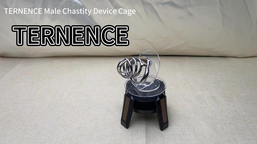 TERNENCE Stainless Steel Male Chastity Device Ergonomic Design Male Adult Game Sex Toy