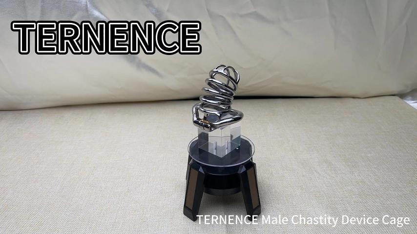 TERNENCE Stainless Chastity Device Male Ergonomic Design Long Cock Cage
