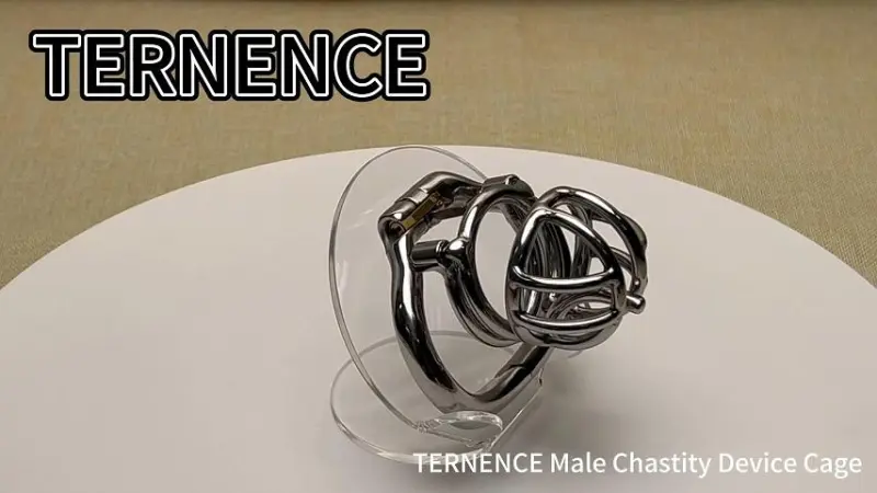 TERNENCE Male Chastity Device Cock Cage with Anti-Off Removable PA Puncture Hinged Ring Chastity Belt Adult Game Sex Toy