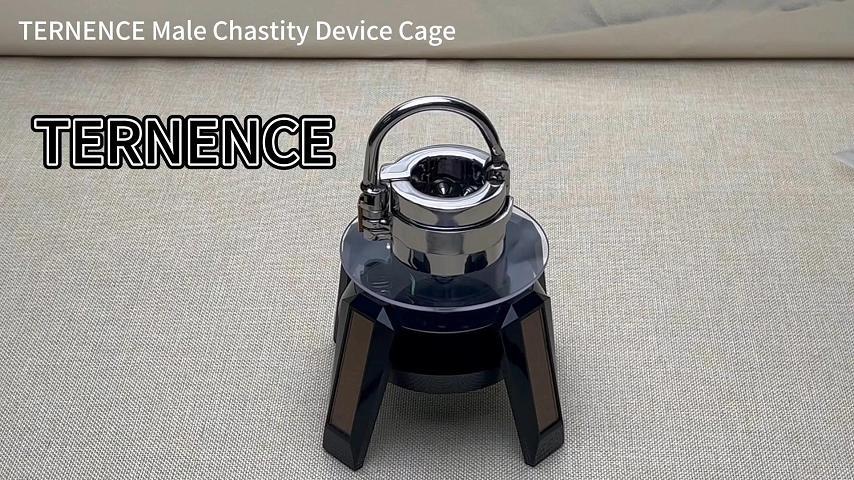 TERNENCE Cage Cock Ring Ball Stretchers Stainless Steel SM Exercise Sex Toys