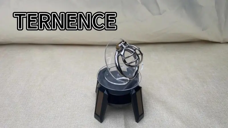 TERNENCE Stainless Steel Small Male Chastity Device Ergonomic Design Cock Cage
