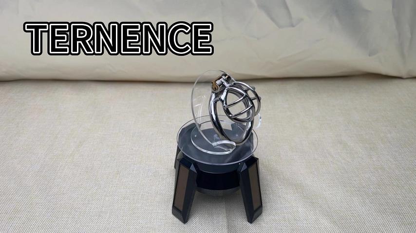 TERNENCE Stainless Steel Small Male Chastity Device Ergonomic Design Cock Cage