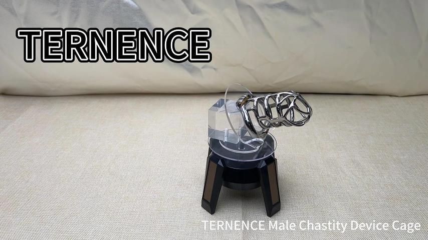 TERNENCE Stealth Convenient Lock Chastity Cage Device Ergonomic Design for Male SM Penis Exercise Sex Toys