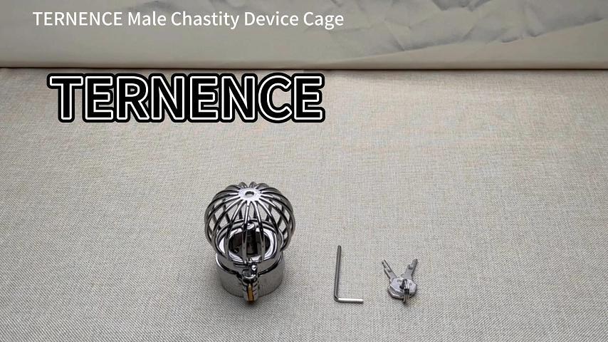 TERNENCE Male Chastity Device Stainless Steel Cage Cock Ring Ball Stretchers