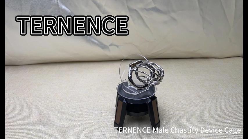 TERNENCE Stainless Steel Chastity Locked Men's Virginity Lock Belt Short Male Cock Cage