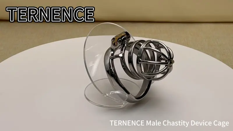 TERNENCE Stainless Steel Cock Cage Stealth Lock for Adults Solitary Extreme Confinement Cage