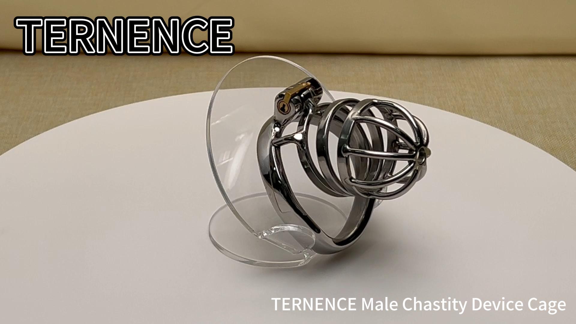 TERNENCE Stainless Steel Cock Cage Stealth Lock for Adults Solitary Extreme Confinement Cage