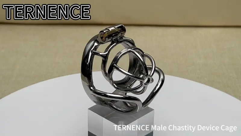 TERNENCE Male Cock Cage Chastity Device Stainless Steel Comfortable Ergonomic Design Closed Ring Cock Cage Adult Game Sex Toy