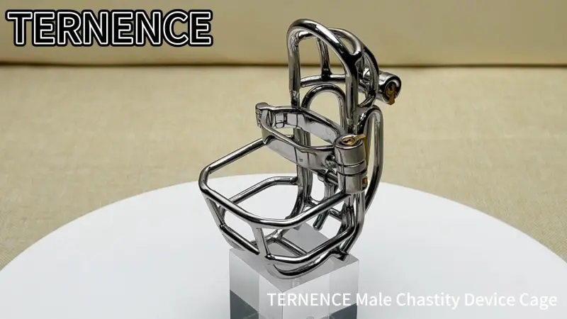 TERNENCE Male Chastity Device Stainless Steel Cock Cage Easy to Wear Male Virginity Lock Chastity Belt with PA Puncture