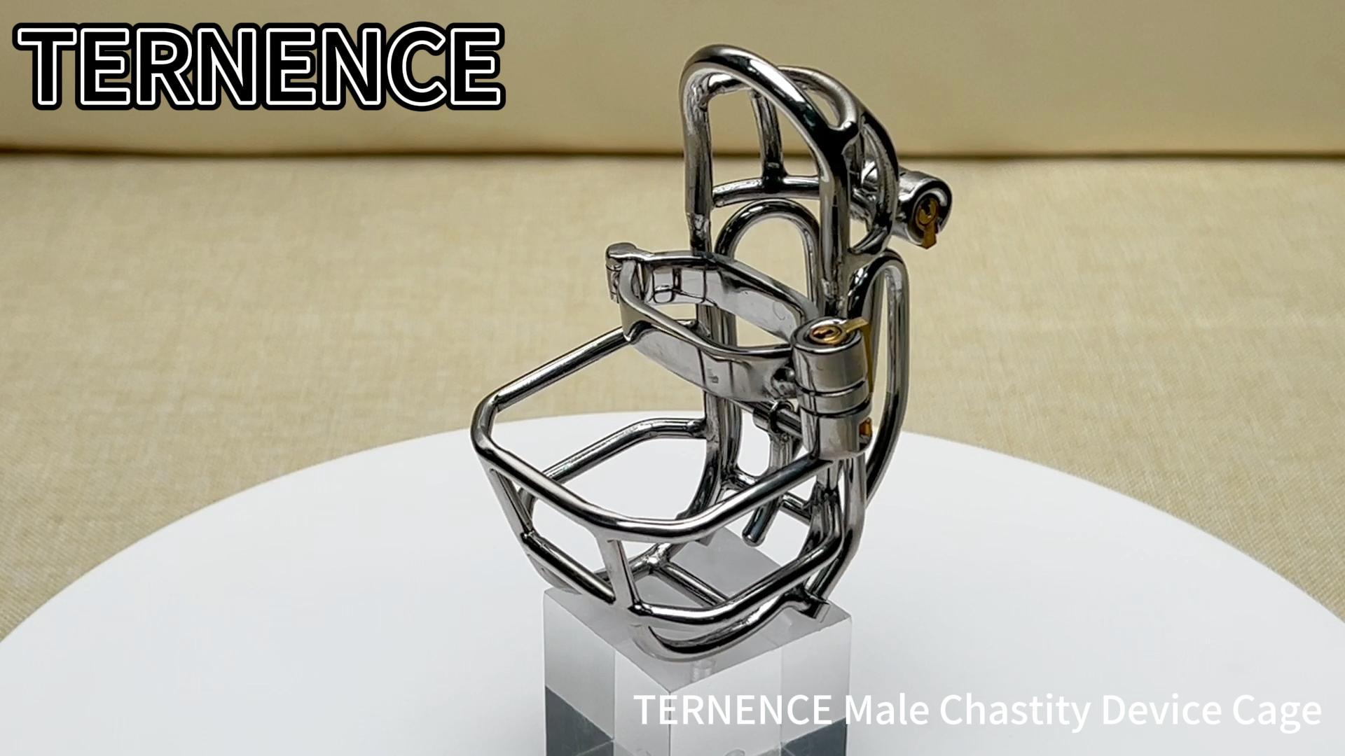 TERNENCE Male Chastity Device Stainless Steel Cock Cage Easy to Wear Male Virginity Lock Chastity Belt with PA Puncture