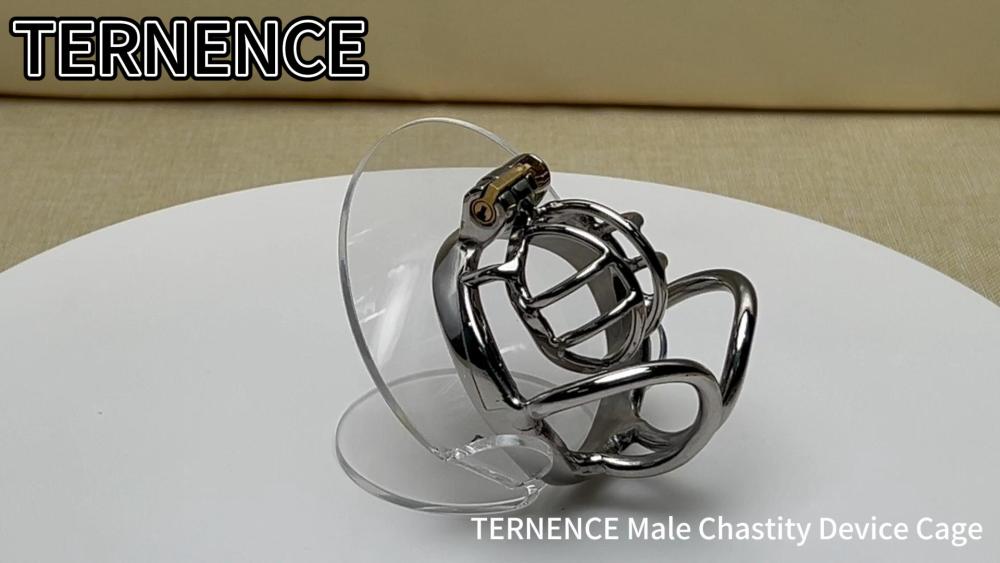 TERNENCE Small Male Cock Cage Comfortably Men Chastity Lock Belt 304 Stainless Steel Chastity Cage