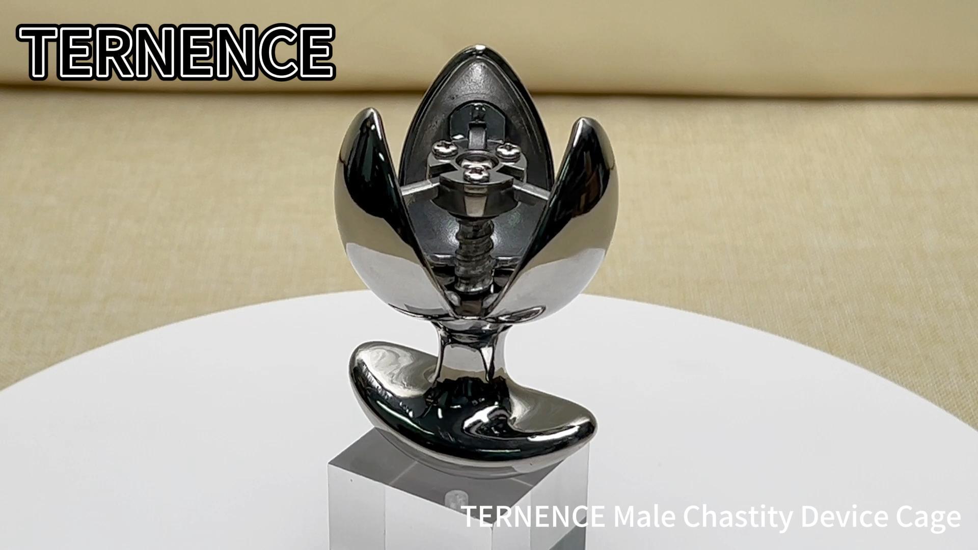TERNENCE Metal Openable Anal Plugs 304 Stainless Steel Heavy Adjustable A-nus Lock with Handles Sex Toys Adult Games Men's Chastity Device