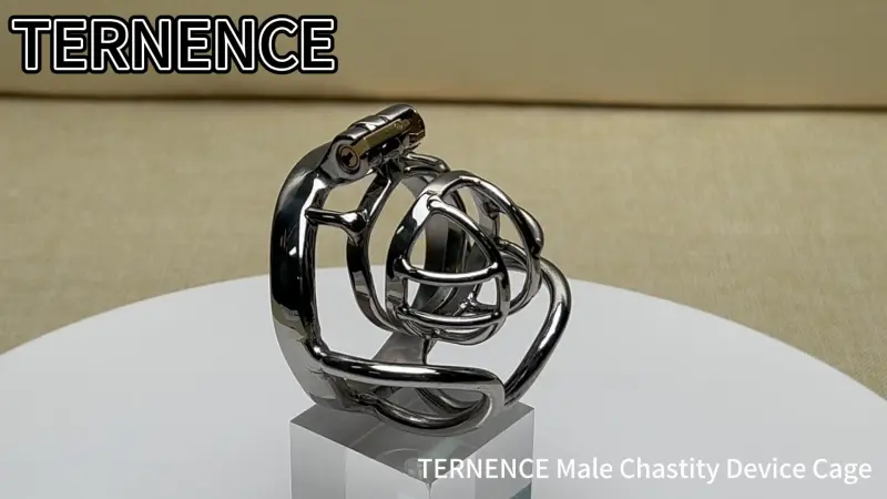 TERNENCE Male Chastity Device 304 Steel Stainless Comfortable Ergonomic Design Closed Ring Cock Cage Men Adult Sex Toys