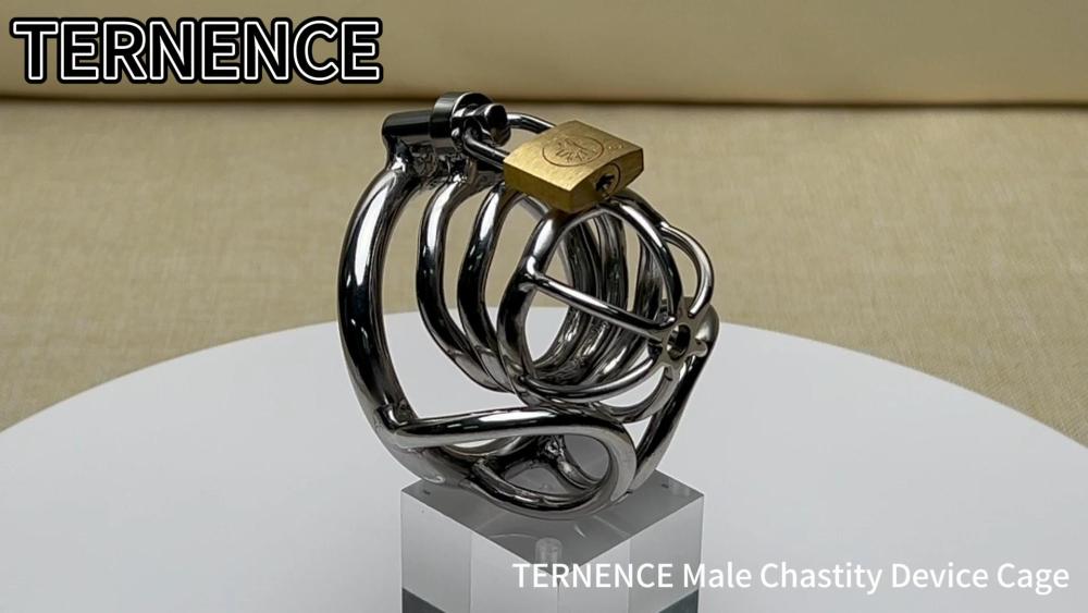 TERNENCE Male Chastity Device Stainless Steel Cock Cage Penis Ring with Padlock for Adult Game Sex Toy