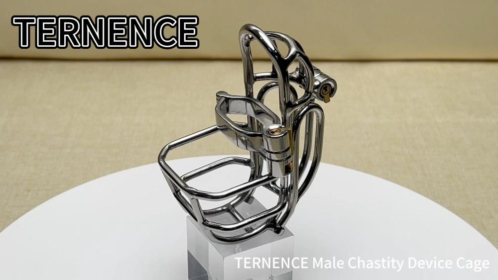 TERNENCE Male Chastity Device Stainless Steel Cock Cage Easy to Wear Male Virginity Lock Chastity Belt