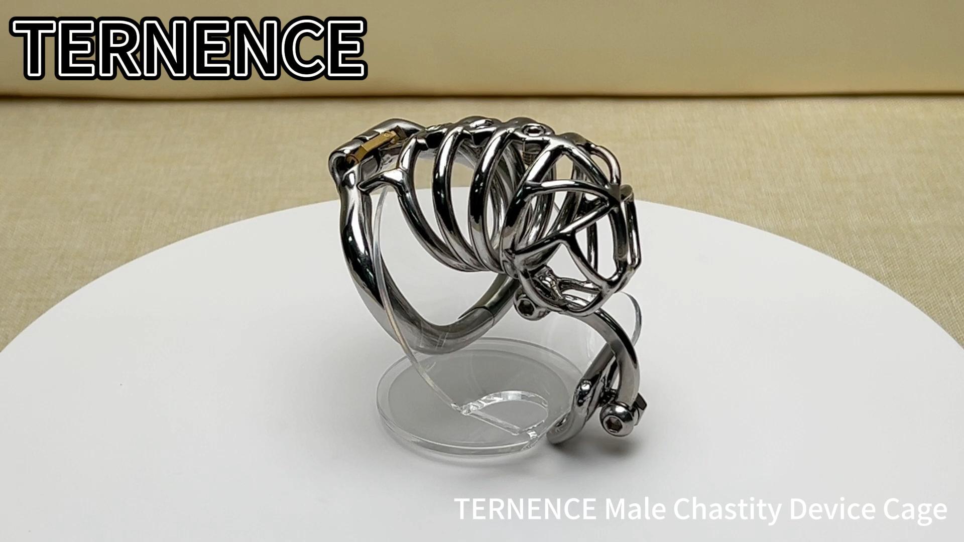 TERNENCE Male Cock Cage Penis Ring Virginity Lock Chastity Belt Adult Game Sex Toy with Separation Hook