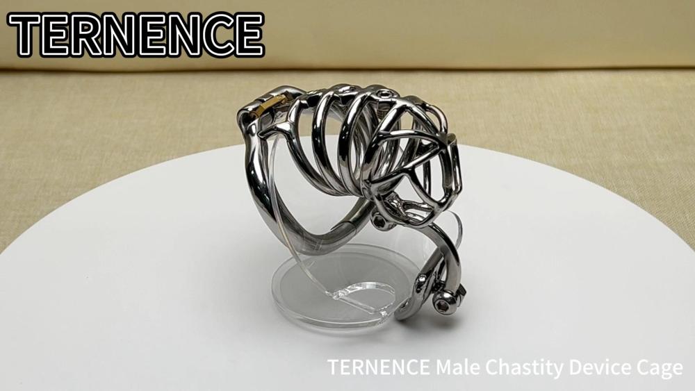 TERNENCE Male Cock Cage Penis Ring Virginity Lock Chastity Belt Adult Game Sex Toy with Separation Hook