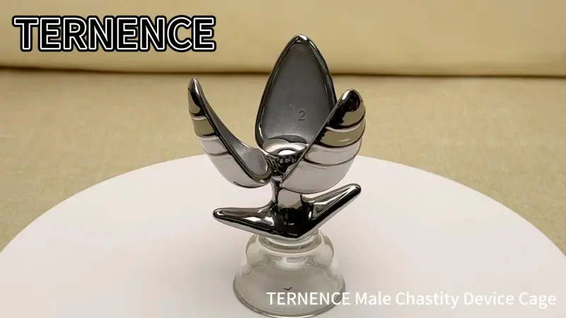 TERNENCE Opening Anal Plug Stainless Steel Heavy Duty Anal Trainer Butt Expander Anus Beads Lock Sex Toys
