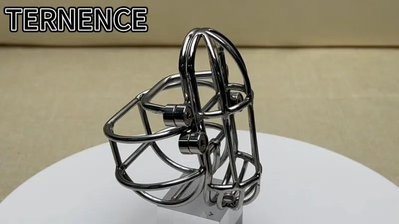 TERNENCE Large Detachable Male Chastity Device Steel Stainless Cock Cage with PA Puncture SM Penis Exercise Sex Toys